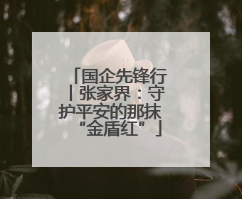 国企先锋行丨张家界：守护平安的那抹“金盾红”