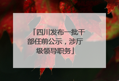 四川发布一批干部任前公示，涉厅级领导职务
