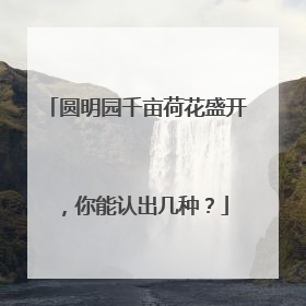 圆明园千亩荷花盛开，你能认出几种？