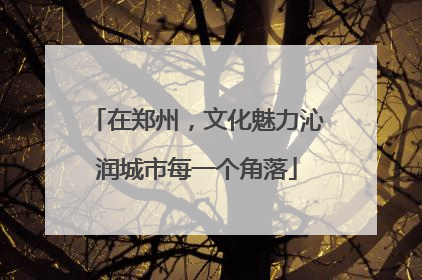 在郑州，文化魅力沁润城市每一个角落