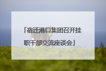 宿迁港口集团召开挂职干部交流座谈会