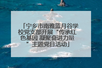 宁乡市南雅蓝月谷学校党支部开展“传承红色基因 凝聚奋进力量”主题党日活动