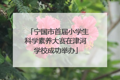 宁国市首届小学生科学素养大赛在津河学校成功举办