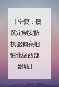 宁夏：景区定制安防机器狗亮相镇北堡西部影城