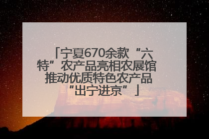 宁夏670余款“六特”农产品亮相农展馆 推动优质特色农产品“出宁进京”
