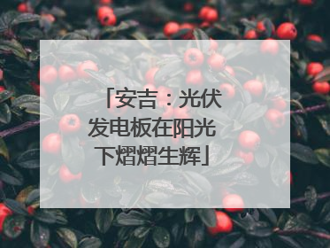安吉：光伏发电板在阳光下熠熠生辉
