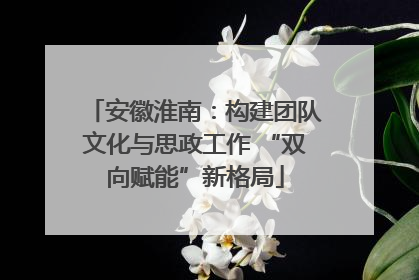 安徽淮南：构建团队文化与思政工作 “双向赋能”新格局