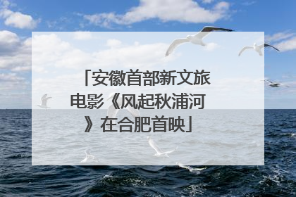 安徽首部新文旅电影《风起秋浦河》在合肥首映