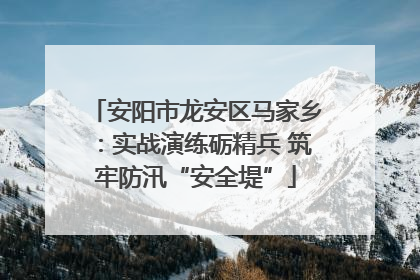 安阳市龙安区马家乡：实战演练砺精兵 筑牢防汛“安全堤”