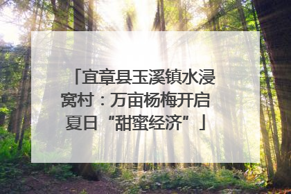 宜章县玉溪镇水浸窝村：万亩杨梅开启夏日“甜蜜经济”