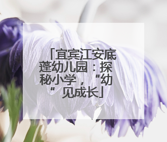 宜宾江安底蓬幼儿园：探秘小学，“幼”见成长