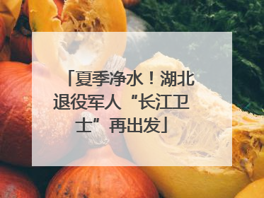 夏季净水！湖北退役军人“长江卫士”再出发