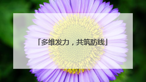 多维发力，共筑防线
