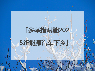 多举措赋能2025新能源汽车下乡