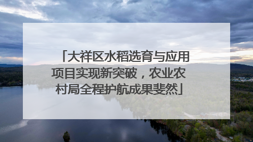 大祥区水稻选育与应用项目实现新突破，农业农村局全程护航成果斐然