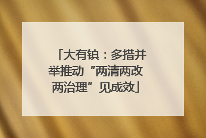 大有镇：多措并举推动“两清两改两治理”见成效