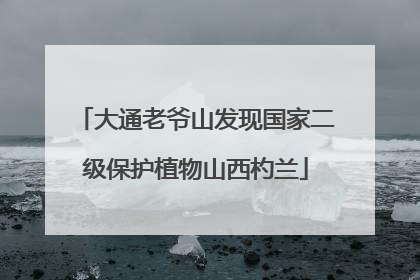 大通老爷山发现国家二级保护植物山西杓兰