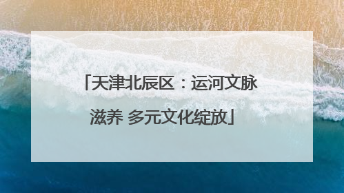 天津北辰区：运河文脉滋养 多元文化绽放