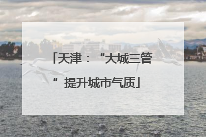 天津：“大城三管”提升城市气质