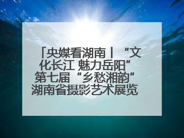央媒看湖南丨“文化长江 魅力岳阳”第七届“乡愁湘韵”湖南省摄影艺术展览盛大启幕