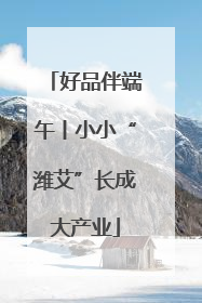 好品伴端午丨小小“潍艾”长成大产业