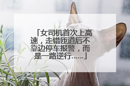 女司机首次上高速，走错匝道后不靠边停车报警，而是一路逆行……