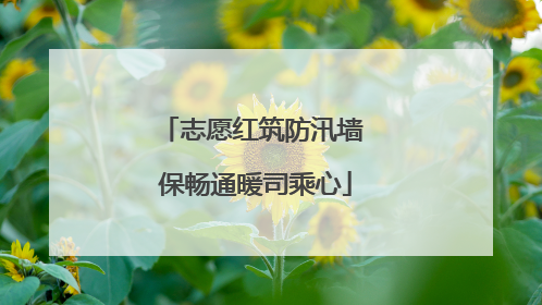 志愿红筑防汛墙 保畅通暖司乘心