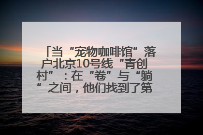 当“宠物咖啡馆”落户北京10号线“青创村”：在“卷”与“躺”之间，他们找到了第三种生活公式