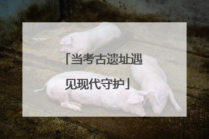 当考古遗址遇见现代守护