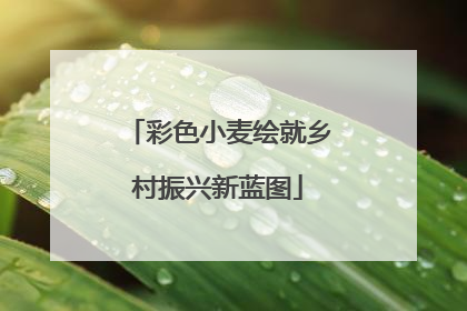 彩色小麦绘就乡村振兴新蓝图