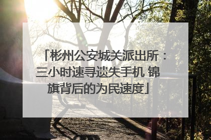 彬州公安城关派出所：三小时速寻遗失手机 锦旗背后的为民速度