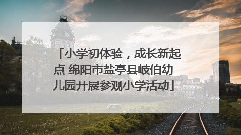 小学初体验，成长新起点 绵阳市盐亭县岐伯幼儿园开展参观小学活动