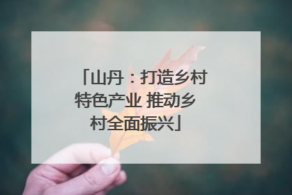 山丹：打造乡村特色产业 推动乡村全面振兴