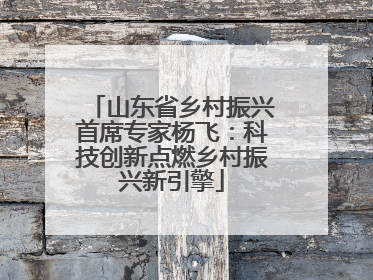 山东省乡村振兴首席专家杨飞：科技创新点燃乡村振兴新引擎