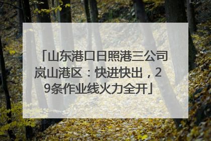 山东港口日照港三公司岚山港区：快进快出，29条作业线火力全开