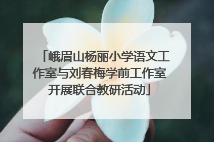 峨眉山杨丽小学语文工作室与刘春梅学前工作室开展联合教研活动
