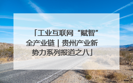 工业互联网“赋智”全产业链｜贵州产业新势力系列报道之八