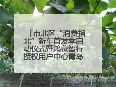 市北区“消费指北”新车首发季启动仪式暨鸿蒙智行授权用户中心青岛重庆南路开业盛典成功举办