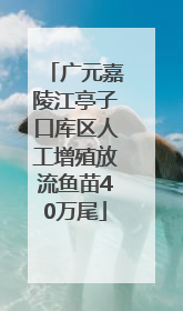 广元嘉陵江亭子口库区人工增殖放流鱼苗40万尾