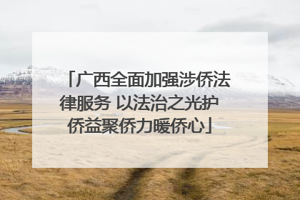 广西全面加强涉侨法律服务 以法治之光护侨益聚侨力暖侨心
