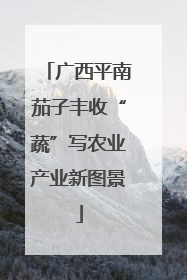 广西平南茄子丰收“蔬”写农业产业新图景
