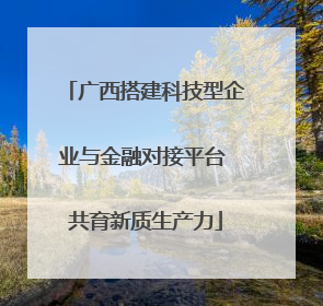 广西搭建科技型企业与金融对接平台 共育新质生产力