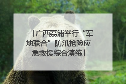 广西荔浦举行“军地联合”防汛抢险应急救援综合演练