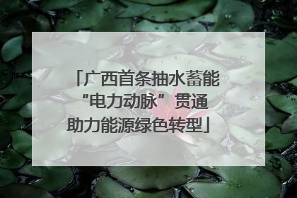 广西首条抽水蓄能“电力动脉”贯通 助力能源绿色转型