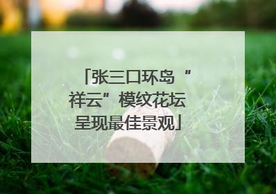 张三口环岛“祥云”模纹花坛呈现最佳景观