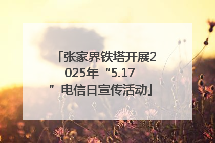张家界铁塔开展2025年“5.17”电信日宣传活动