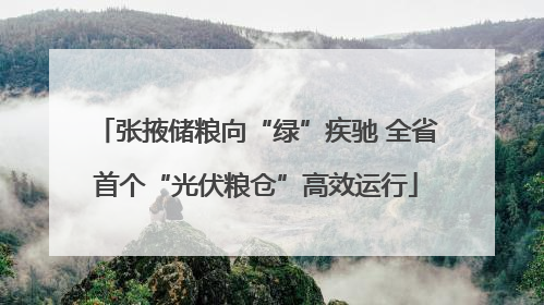 张掖储粮向“绿”疾驰 全省首个“光伏粮仓”高效运行