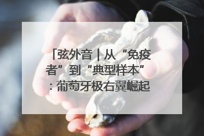 弦外音｜从“免疫者”到“典型样本”：葡萄牙极右翼崛起背后的欧洲困局