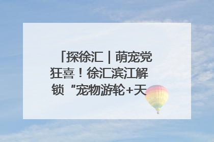 探徐汇｜萌宠党狂喜！徐汇滨江解锁“宠物游轮+天台乐园”双玩法