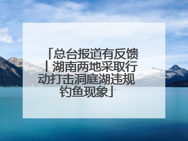 总台报道有反馈丨湖南两地采取行动打击洞庭湖违规钓鱼现象